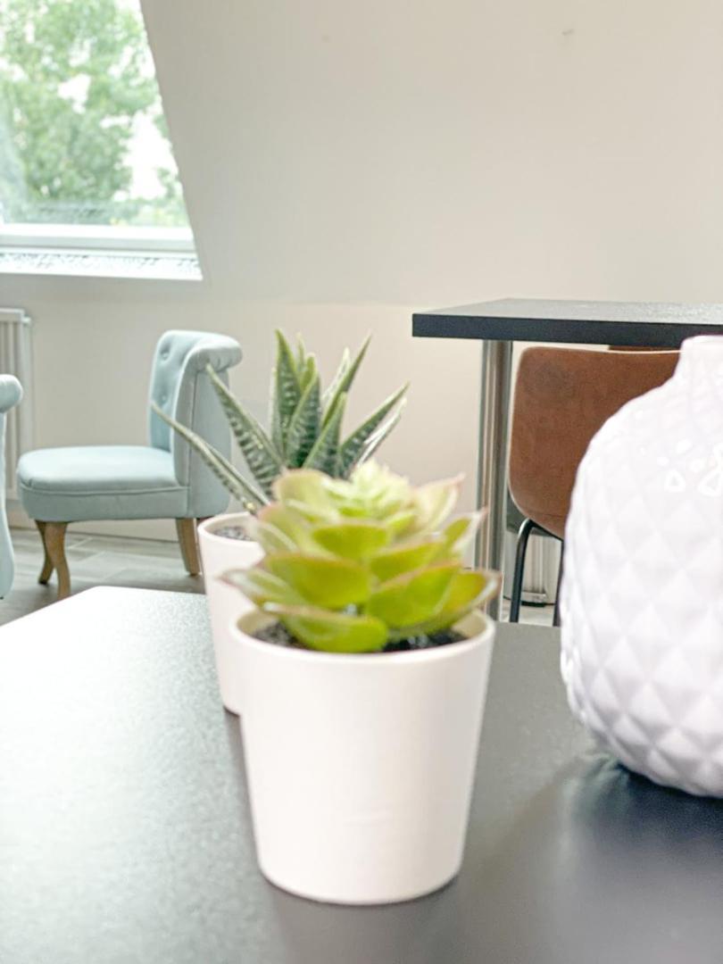 Masse Studio Cosy — Caen Appartement Buitenkant foto
